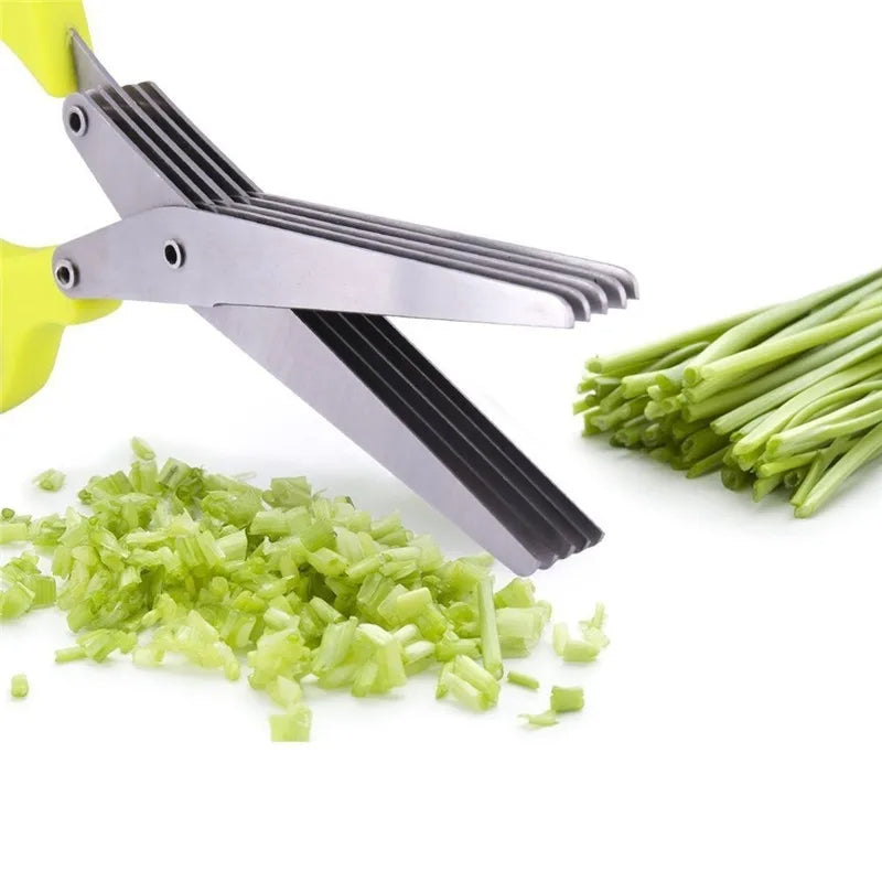 Multi-Layer Herb Scissors (Stainless Steel)