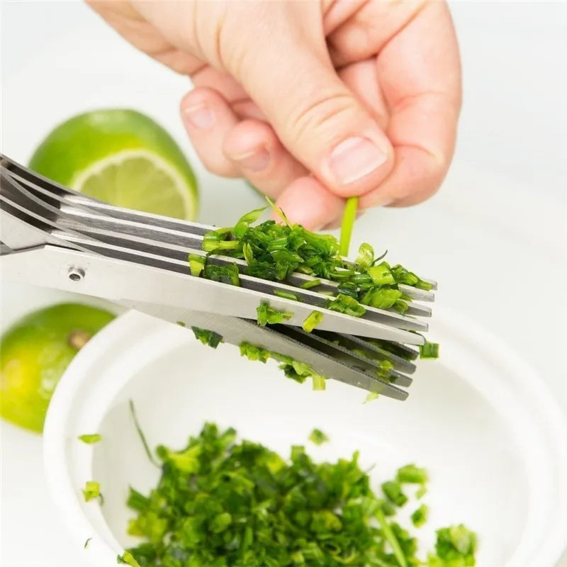 Multi-Layer Herb Scissors (Stainless Steel)
