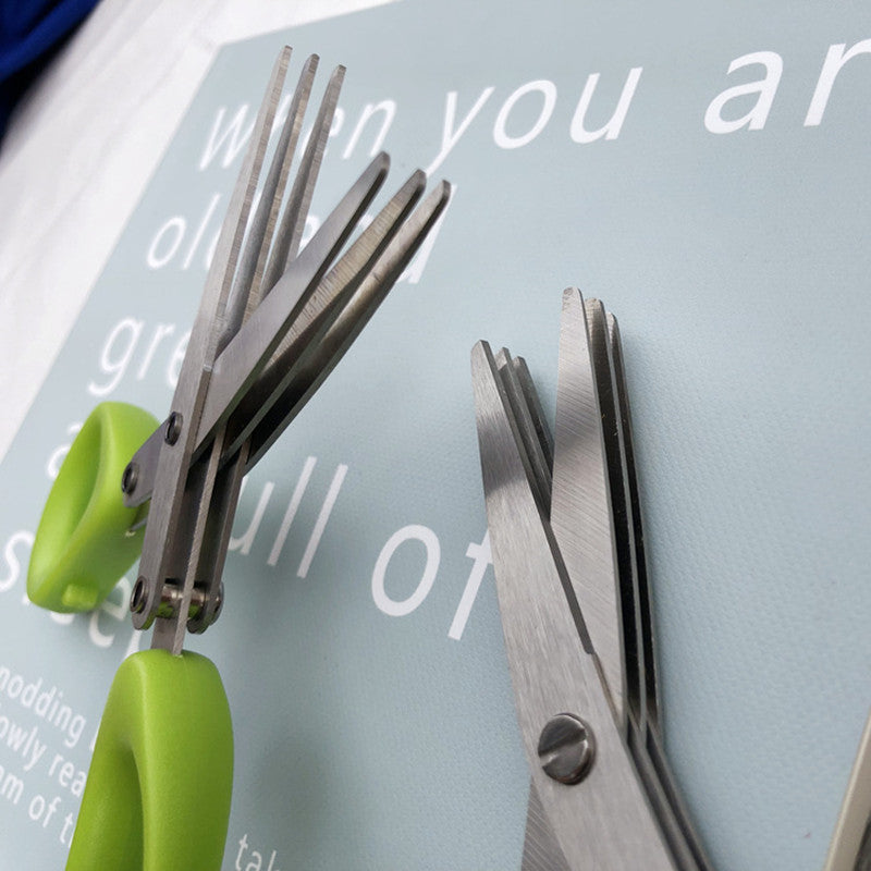 Multi-Layer Herb Scissors (Stainless Steel)